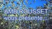 AMB ROUSSET - VIBREUR HYDRAULIQUE A OLIVES - OLIVE TREES SHAKER - VIBRADOR PARA OLIVAS