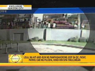 Grandma killed in hit-and-run