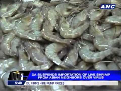 DA suspends Asian shrimp imports