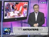 Teditorial: Anteaters