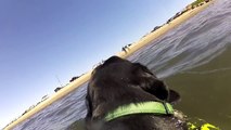 GoPro on Dog Beach! Fiesta Island, San Diego