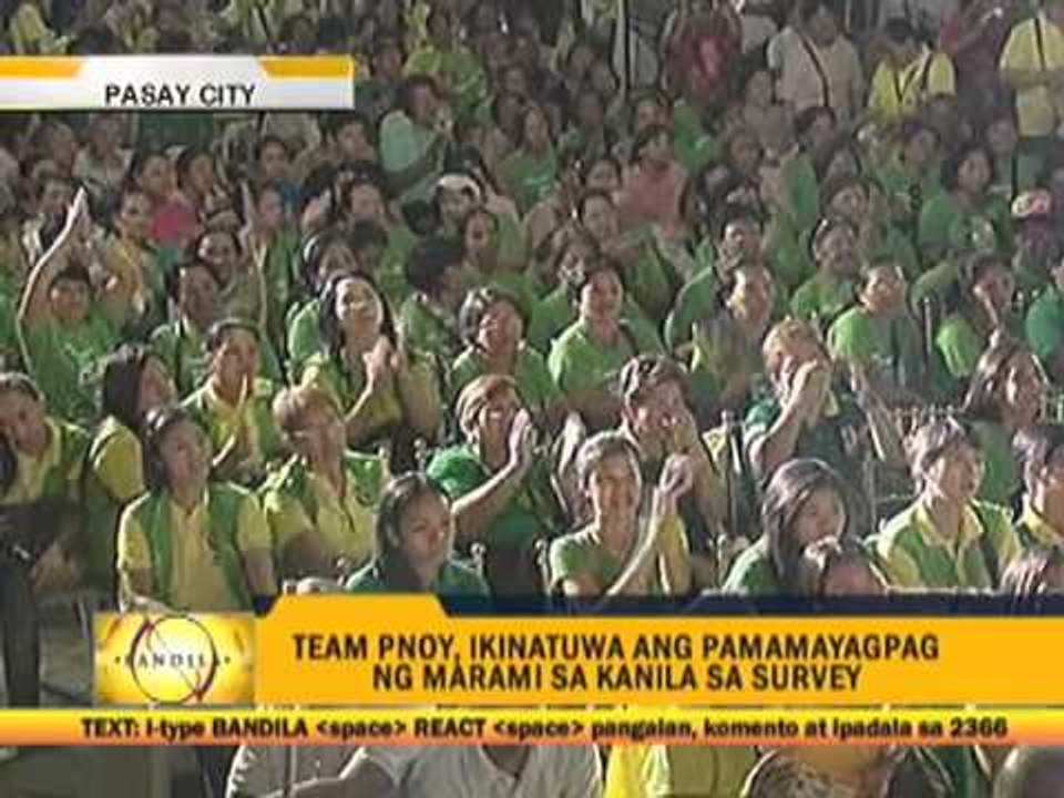 Celebrity look-alikes join Team PNoy rally