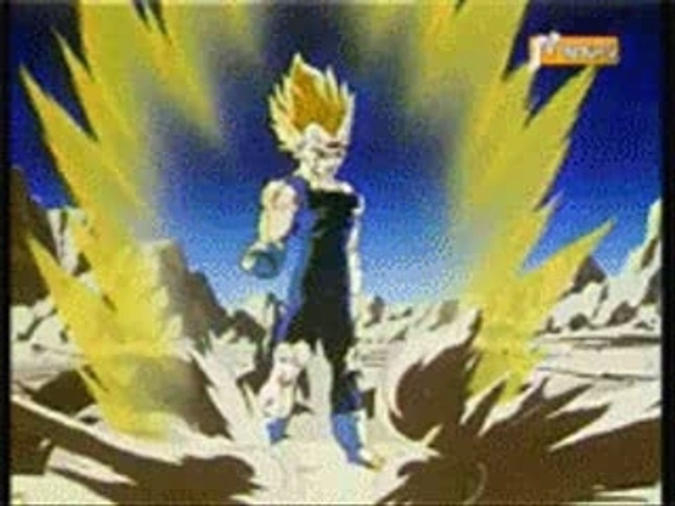 DBZ Tribute