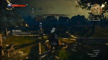 The witcher Wild hunt, parte 30, Siguiendo a Johnny