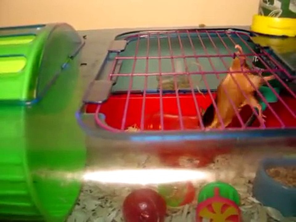 Giordi LaForge the Mouse