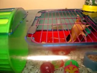 Giordi LaForge the Mouse