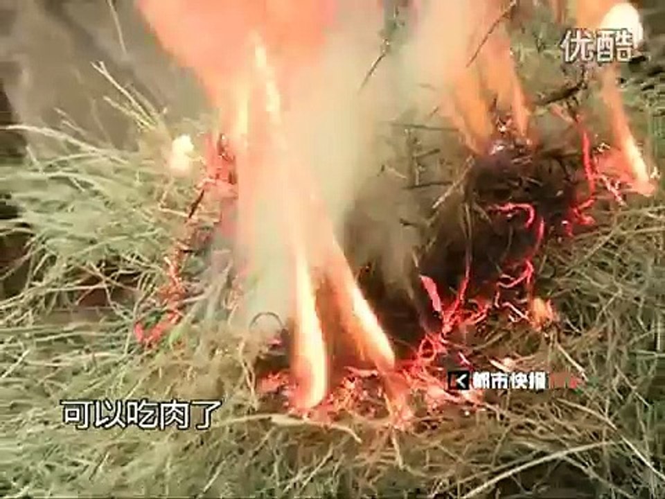 荒野求生技：干电池加口香糖能生火 高清