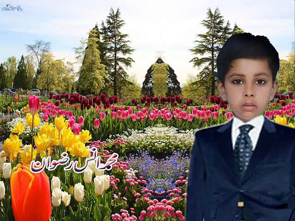 Muhammad Ans Rizwan lives in Dinga Ciy with Tak chan peya janda he