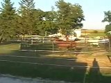 Round Penning 2 Horses at Once, Horse Rescue.