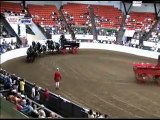 Windermere Farms Percheron Hitches