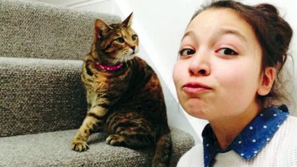 Hamster Products I regret buying!