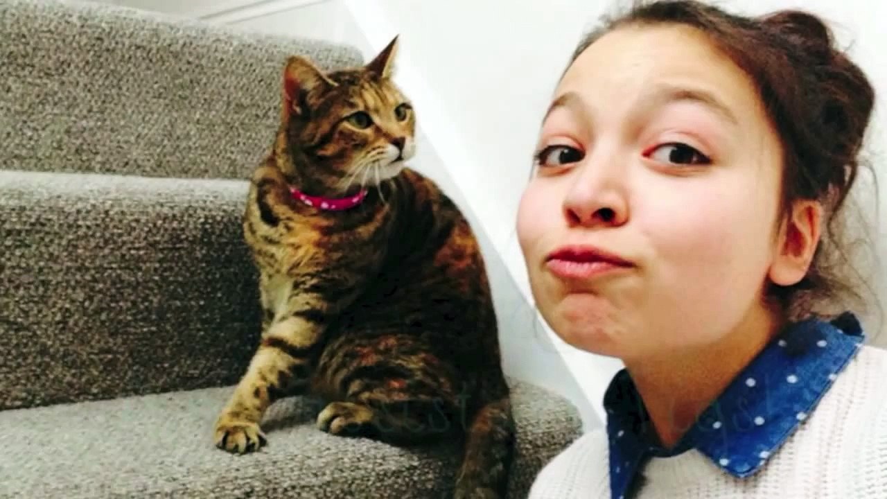 Hamster Products I regret buying!