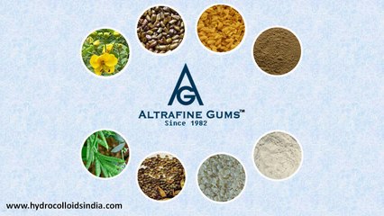 Role of Sesbania Gum Powder in Oil Industry