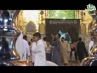 الميرزا محمد القلعاوي - لطمية عن الإمام علي