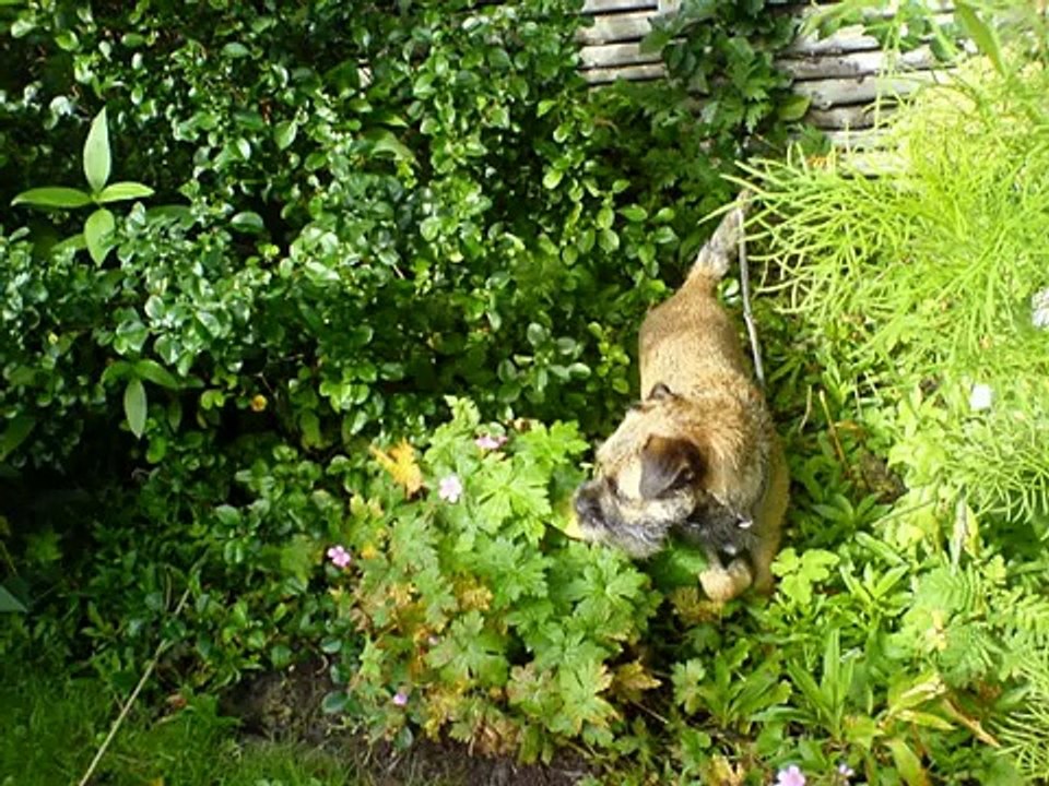 "Lay down Sally "w/ Sally & Victor ,music Jerry Garcia Band