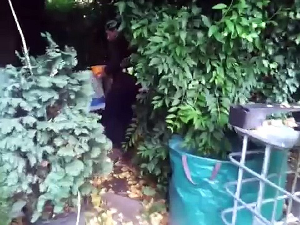 Using our Insinkerator Food Waste Grinder as a "Compost Companion", take 1