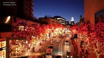 TOKYO Christmas 東京クリスマスイルミネーション Tokyo’s Best Streets Christmas Lights 東京観光 六本木 丸の内 表参道 ディスカバーニッポン