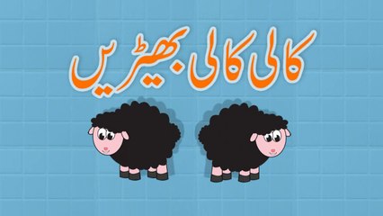 Kali Kali Bherain (Urdu Poem)