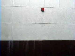 Shot In Head (Explode)