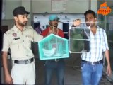 ਪਾਕਿਸਤਾਨ ਦਾ ਜਾਸੂਸ ਕਬੂਤਰ ਕਾਬੂ   POLICE CAUGHT PAK PIGEON