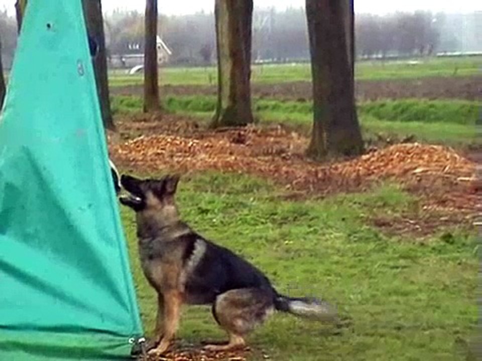 Hans Derks IPO III pakwerk