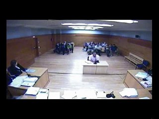 Informe Pericial Universidad Alicante JUICIO MAPFRE / GRUASABRIL