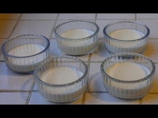 La panna cotta (recette facile et rapide)