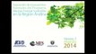 Panel: Carbono forestal como fuente adicional para el manejo forestal sostenible