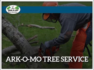 Effective Tree Removal Services in Northwest Arkansas
