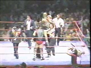 1987 NWA World Tag Team Championship