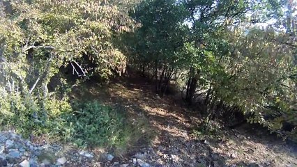 κυνηγι λαγος dabi 2011 HARE HUNTING