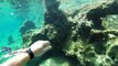Snorkeling - Hydra Island - Greece 2014 1080p HD