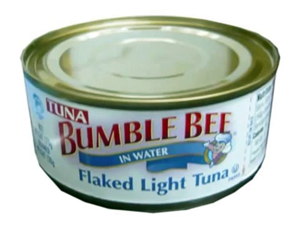 Howard Stern Interviews ALCOR Employee Ted Williams Frozen Head pt1