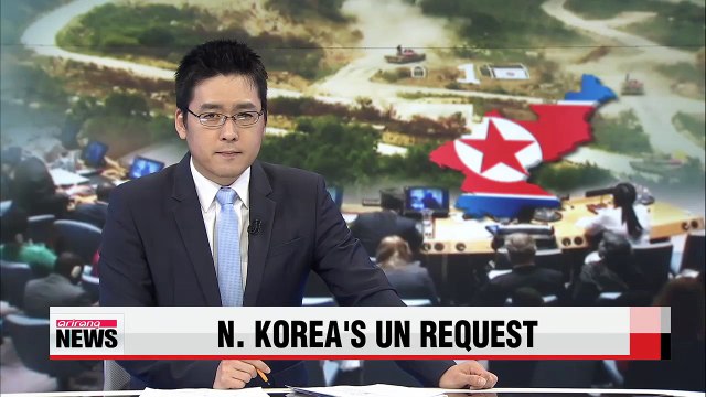 UN must take S. Korea-U.S. joint military exercises to Security Council: Pyongyang