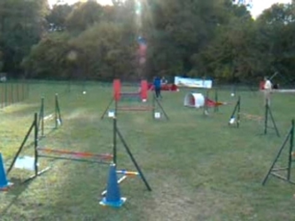 Scotsy en agility