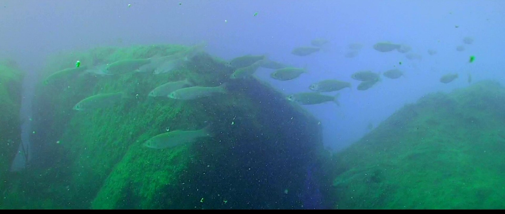 TIME IS NOTHING {treiler}