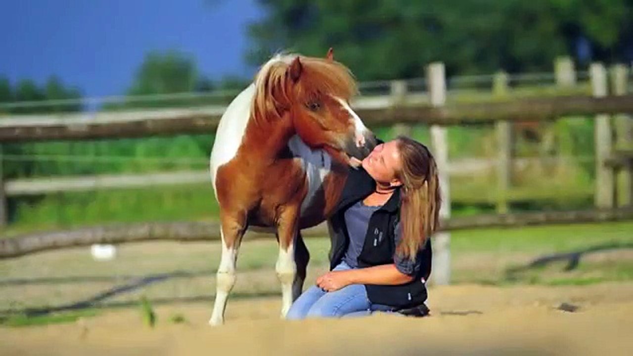 Babette Teschen mit ihren Pferden Buddy, Pepe und Ronaldo