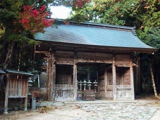 「秘密の花園」「ピンクのモーツァルト」私の演奏
