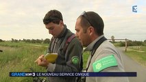 Le service civique devient universel