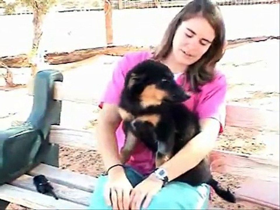 Meet The Pepper Pups