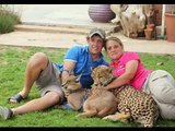 Felidae Centre - save the lions from canned hunting