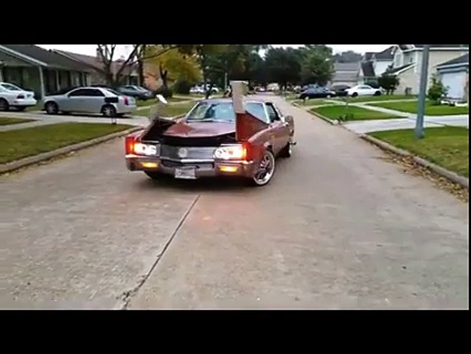 What in the...