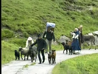 DIE ALM - Best of 1. Staffel mit KADER LOTH, DETLEF D! SOOST und Co. (2004)