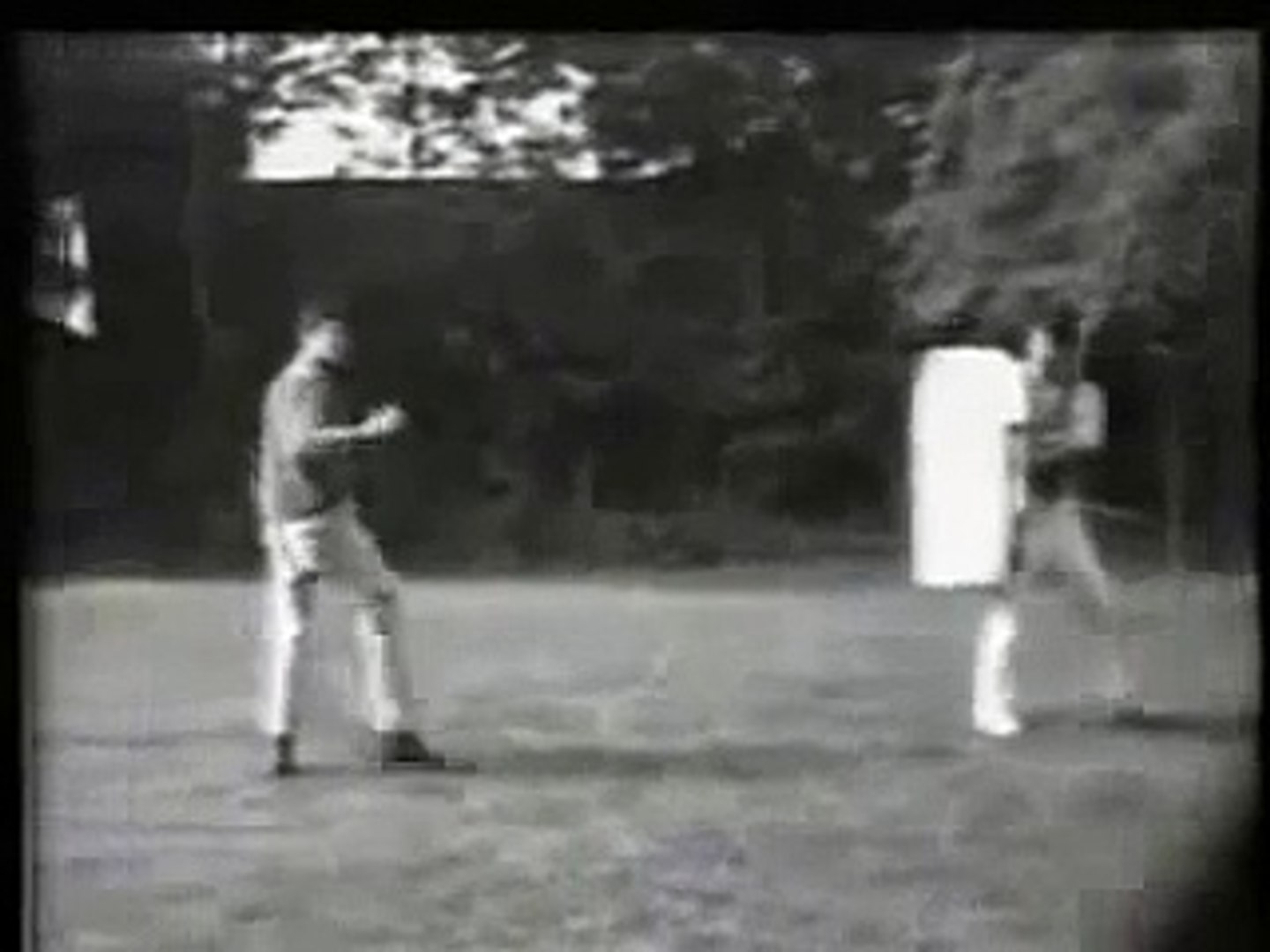 bruce lee side kick punching bag