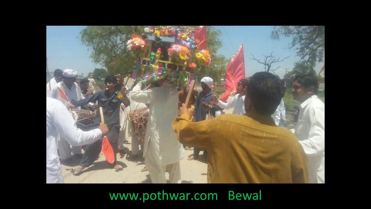 bewal daali
