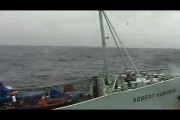 Sea Shepherd Attacks Japanese Whaling fleet.  Feb 09, 2007/D