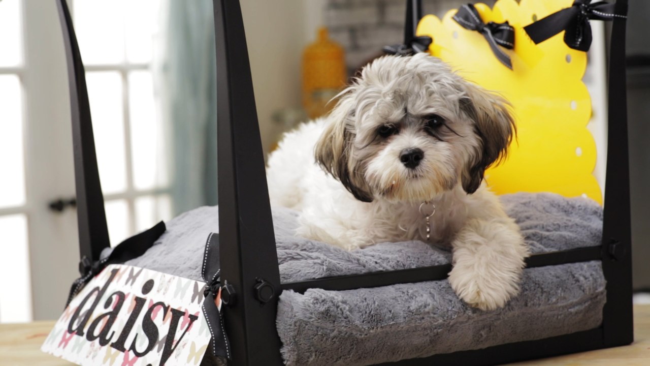 No-Sew Pet Bed
