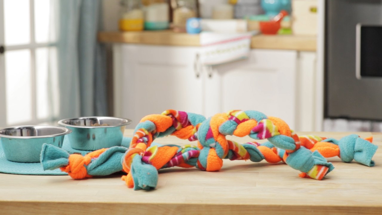 DIY Dog Toy