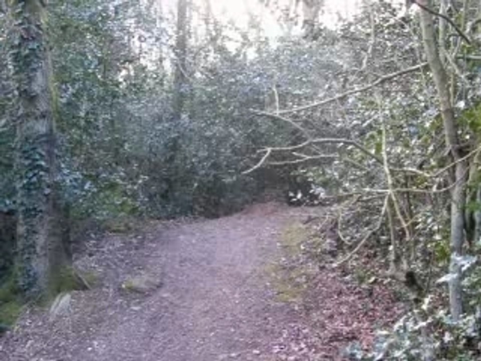 devils drop