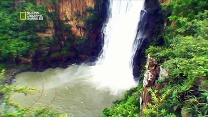 Ma vie est une statistique - quand allez-vous mourir ?